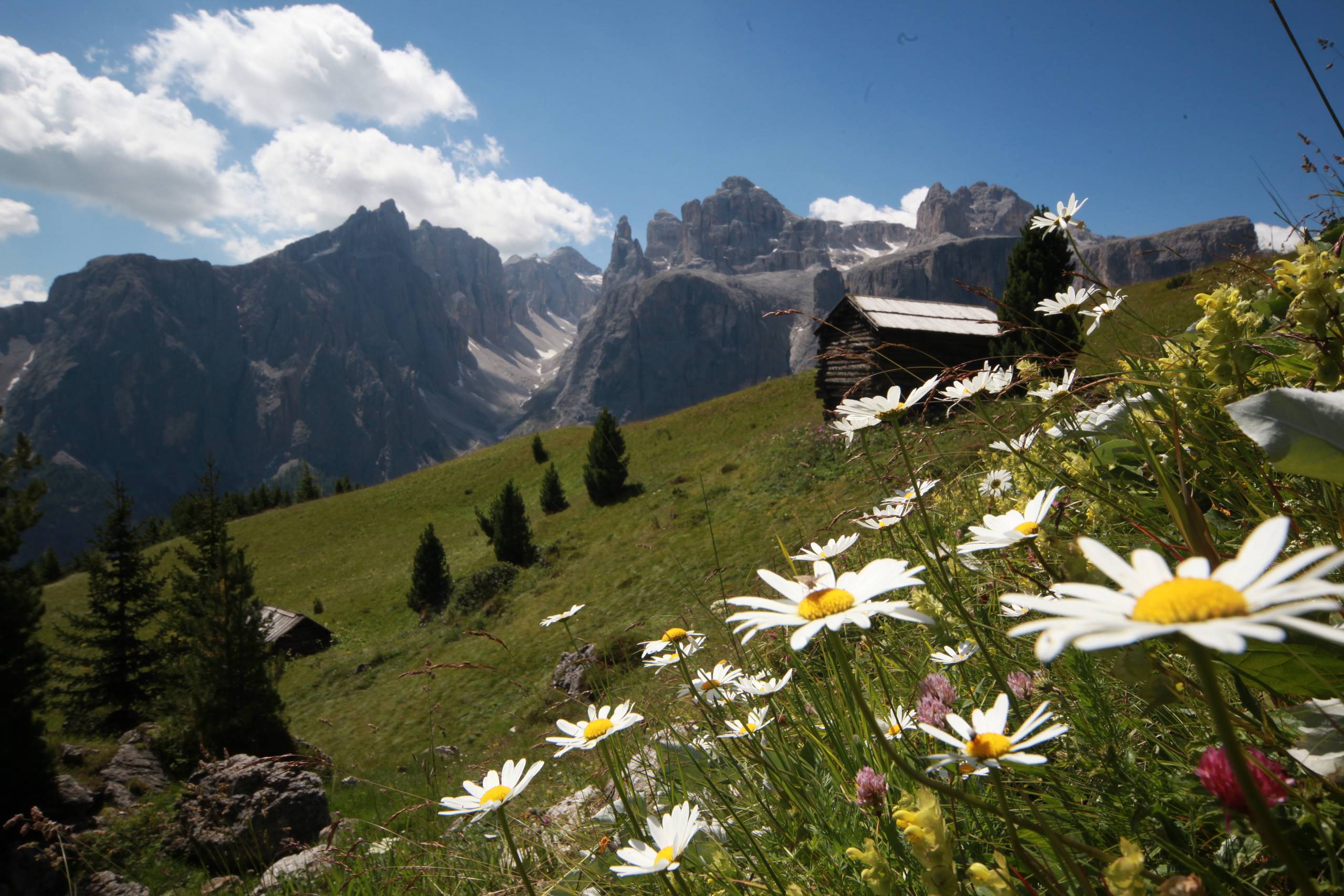 Alta Badia Im Sommer Genuss Und Erholung Pur alta-badia-im-sommer-genuss-und-erholung-pur